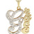  Gold 14K Ladies Two Tone with Diamonds Name Plate Necklace _ Appx. 10 Grams Ot